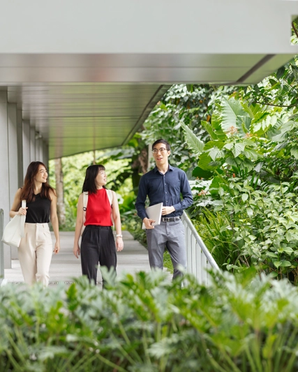 我们的文化 三人 室外